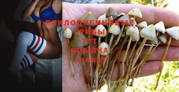 MESCALINE Бугульма