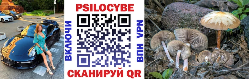 Псилоцибиновые грибы Psilocybine cubensis  hydra ссылка  Эртиль 
